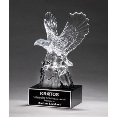  Radiant Crystal Eagle Award